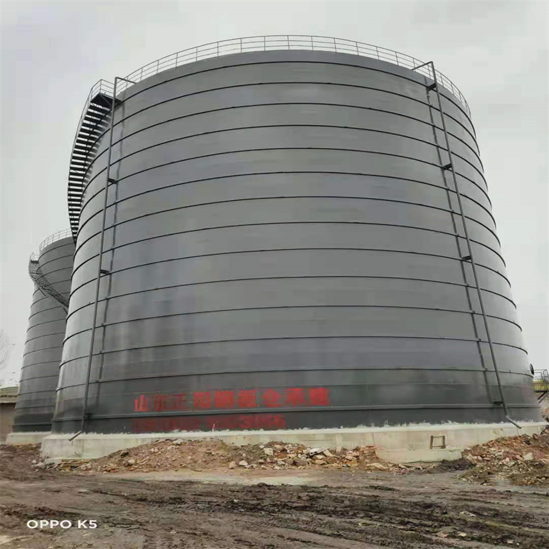 三家镇3万吨大型钢板库