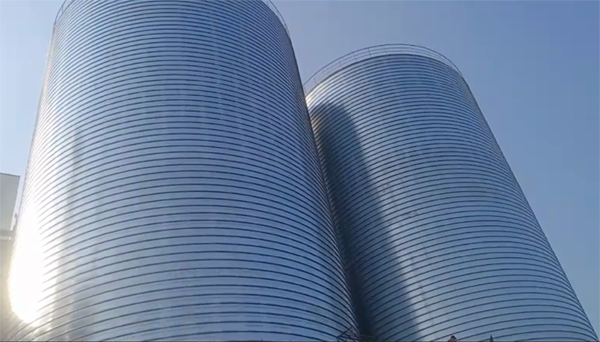 三家镇2座混凝土高架卷板仓